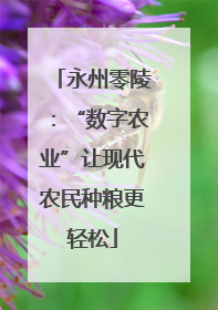 永州零陵：“数字农业”让现代农民种粮更轻松