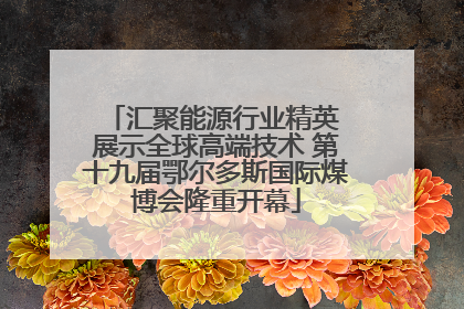 汇聚能源行业精英 展示全球高端技术 第十九届鄂尔多斯国际煤博会隆重开幕