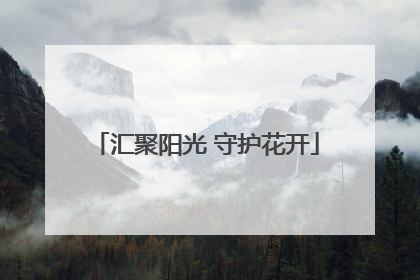 汇聚阳光 守护花开