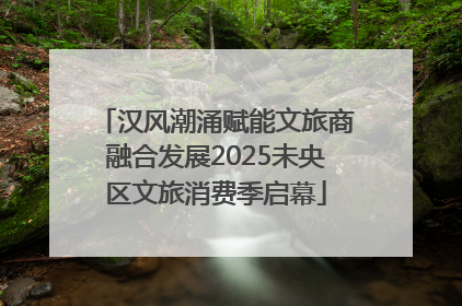 汉风潮涌赋能文旅商融合发展2025未央区文旅消费季启幕