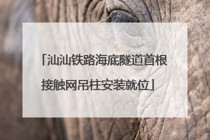 汕汕铁路海底隧道首根接触网吊柱安装就位
