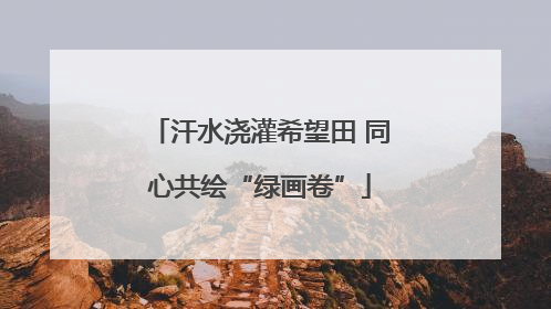 汗水浇灌希望田 同心共绘“绿画卷”