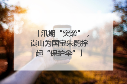 汛期“突袭”，崀山为国宝朱鹮撑起“保护伞”