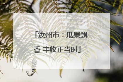 汝州市：瓜果飘香 丰收正当时