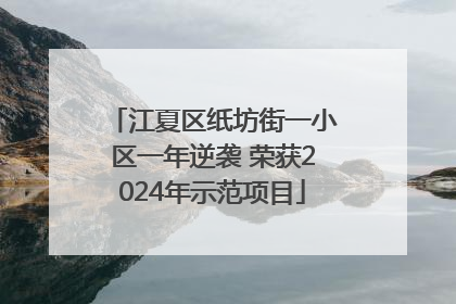 江夏区纸坊街一小区一年逆袭 荣获2024年示范项目