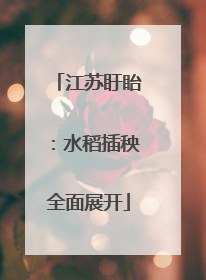 江苏盱眙：水稻插秧全面展开