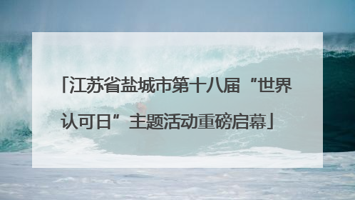 江苏省盐城市第十八届“世界认可日”主题活动重磅启幕