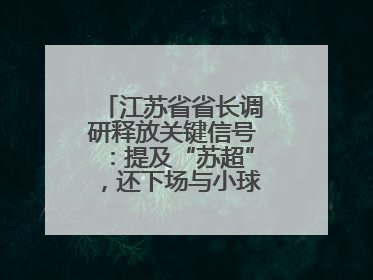 江苏省省长调研释放关键信号：提及“苏超”，还下场与小球员踢球互动