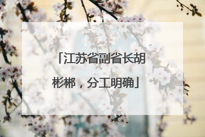江苏省副省长胡彬郴，分工明确