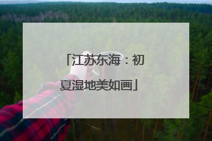 江苏东海：初夏湿地美如画