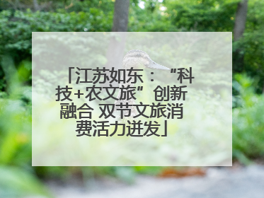江苏如东：“科技+农文旅”创新融合 双节文旅消费活力迸发