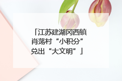 江苏建湖冈西镇肖荡村“小积分”兑出“大文明”