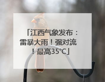 江西气象发布：雷暴大雨！强对流！最高35℃
