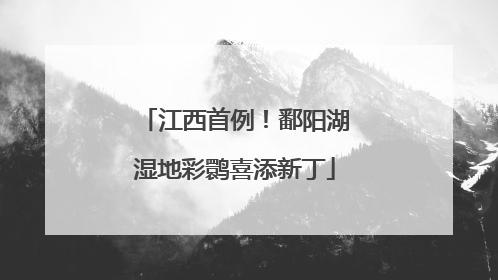 江西首例！鄱阳湖湿地彩鹮喜添新丁
