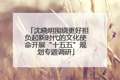 沈晓明围绕更好担负起新时代的文化使命开展“十五五”规划专题调研