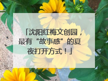 沈阳红梅文创园，最有“故事感”的夏夜打开方式！