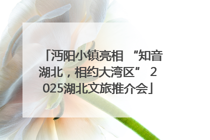 沔阳小镇亮相 “知音湖北，相约大湾区” 2025湖北文旅推介会