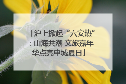 沪上掀起“六安热”：山海共潮 文旅嘉年华点亮申城夏日