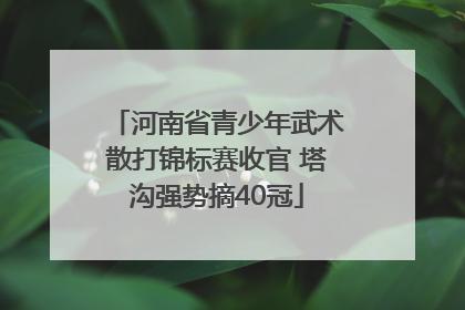 河南省青少年武术散打锦标赛收官 塔沟强势摘40冠