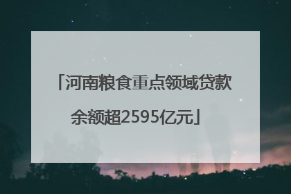 河南粮食重点领域贷款余额超2595亿元
