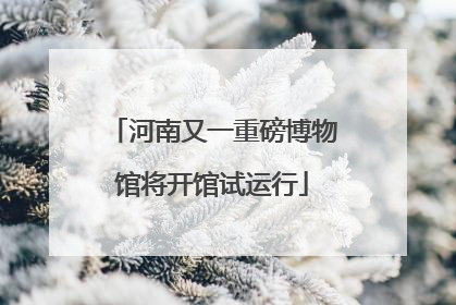 河南又一重磅博物馆将开馆试运行