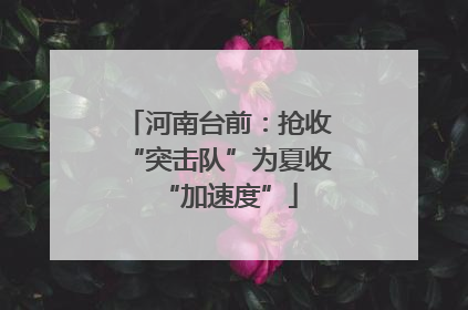 河南台前：抢收“突击队”为夏收“加速度”