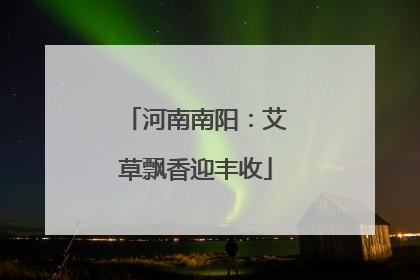 河南南阳：艾草飘香迎丰收