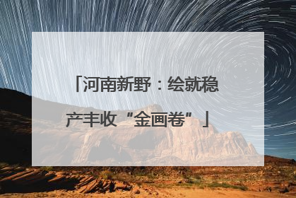 河南新野：绘就稳产丰收“金画卷”