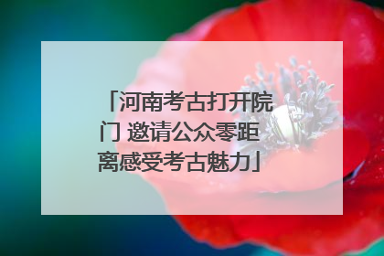 河南考古打开院门 邀请公众零距离感受考古魅力