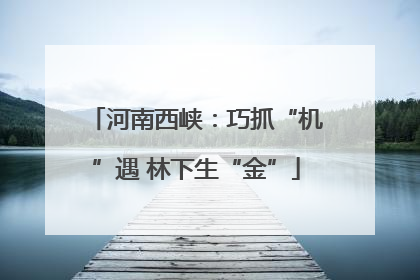 河南西峡：巧抓“机”遇 林下生“金”