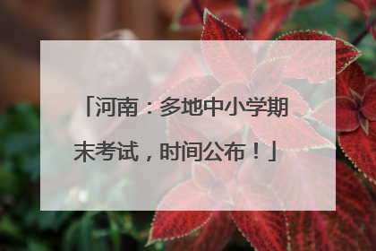 河南：多地中小学期末考试，时间公布！