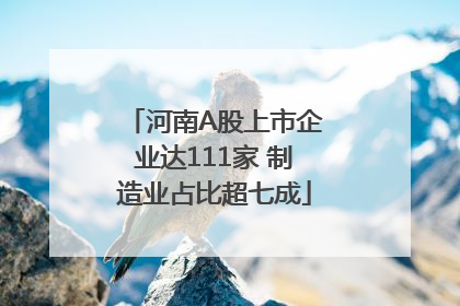 河南A股上市企业达111家 制造业占比超七成