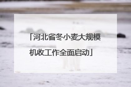 河北省冬小麦大规模机收工作全面启动
