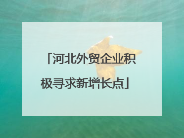 河北外贸企业积极寻求新增长点