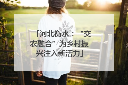 河北衡水：“交农融合”为乡村振兴注入新活力