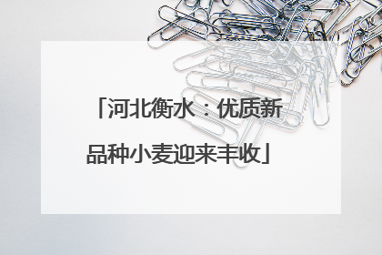 河北衡水：优质新品种小麦迎来丰收