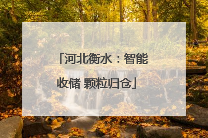 河北衡水：智能收储 颗粒归仓