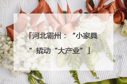河北霸州：“小家具”撬动“大产业”