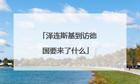 泽连斯基到访德国要来了什么