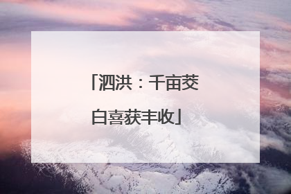泗洪：千亩茭白喜获丰收
