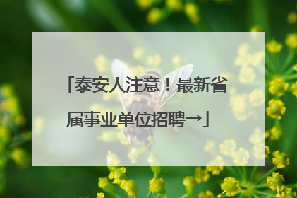 泰安人注意！最新省属事业单位招聘→
