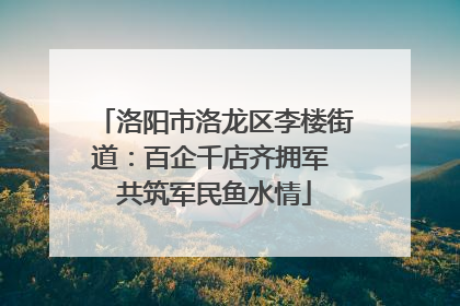 洛阳市洛龙区李楼街道：百企千店齐拥军 共筑军民鱼水情