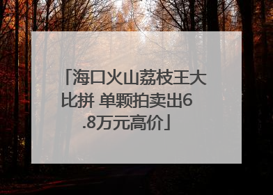 海口火山荔枝王大比拼 单颗拍卖出6.8万元高价