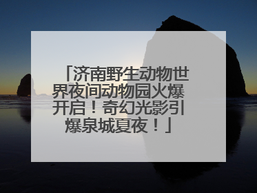济南野生动物世界夜间动物园火爆开启！奇幻光影引爆泉城夏夜！