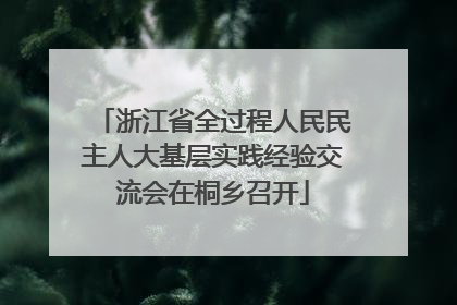 浙江省全过程人民民主人大基层实践经验交流会在桐乡召开