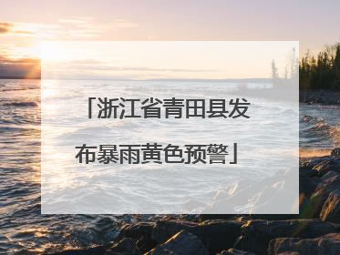 浙江省青田县发布暴雨黄色预警