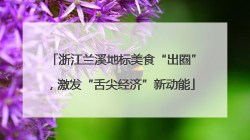 浙江兰溪地标美食“出圈”，激发“舌尖经济”新动能