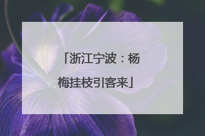 浙江宁波：杨梅挂枝引客来