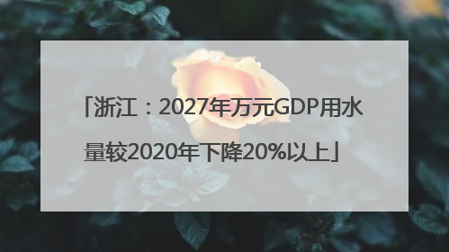 浙江：2027年万元GDP用水量较2020年下降20%以上