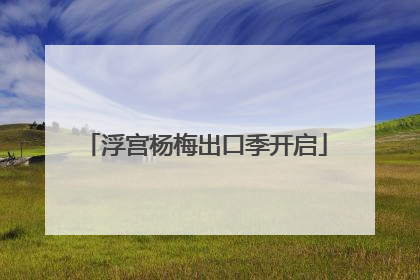 浮宫杨梅出口季开启